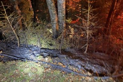 Artvin’de zirai alanda yangın kısa sürede söndürüldü