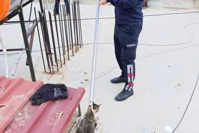 Bacaya sıkışan kediyi itfaiye kurtardı