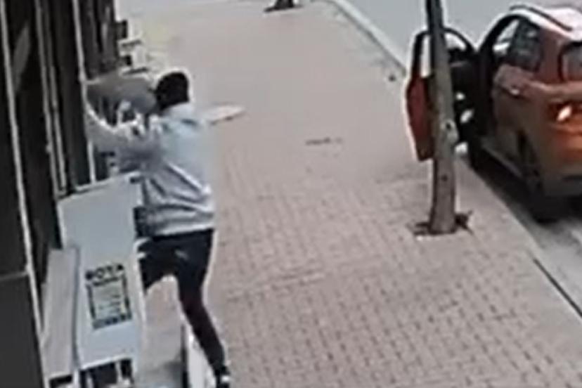 Balkona tırmanıp cins kediyi çaldı