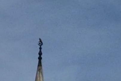 Bartın’da gökdoğan heyecanı