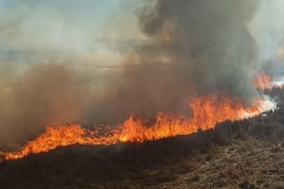Beyşehir’de sazlıklar alev alev yandı