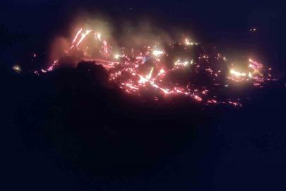 Bilecik’te çürümüş ağaç ve kökler yakılırken alevler kontrolden çıktı