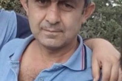 Bolu’da ağacın altında kalan vatandaş hayatını kaybetti