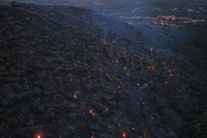 Bozdoğan yangını büyük ölçüde kontrol altına alındı