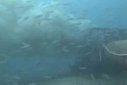 Çanakkale’de boğaza dökülen atık su ile karşılaşan dalgıç, o anları su altı kamerasıyla kaydetti