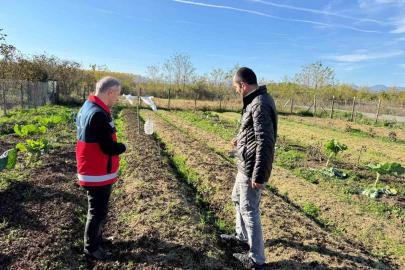 Çarşamba Ovası’nın yeni gözdesi: Salep
