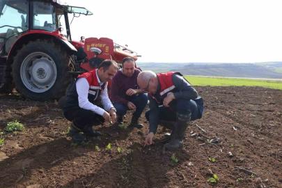 Deneme sahasından elde edilecek veriler bölge tarımına yön verecek