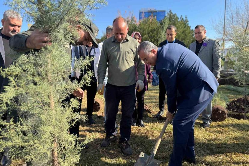 Diyarbakır’da Dünya Prematüre Günü etkinliği