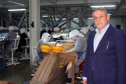 Fındık fiyatları, ihracat, döviz kuru ve hava şartlarına bağlı