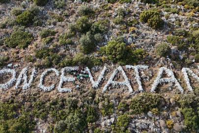 Gençler Datça’nın simgesine sahip çıktılar
