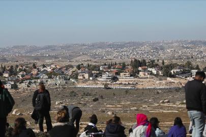 İsrailli yerleşimciler, Ramallah’ta bir Filistinli'nin koyunlarını zehirledi