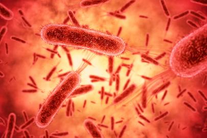 Kadim tehdit geri dönüyor: Tifo hızla antibiyotiklere direnç kazanıyor