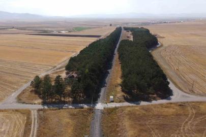 Kars’ta bozkırın ortasındaki vaha havadan görüntülendi