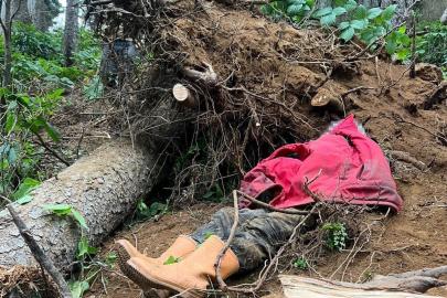 Kestiği ağacın altında kalan bir kişi hayatını kaybetti