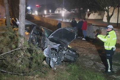 Kontrolden çıkan otomobil, direk ve ağaçlara çarptı: 1 yaralı