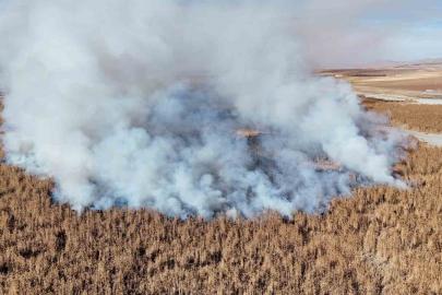 Konya’da sazlık alanda yangını