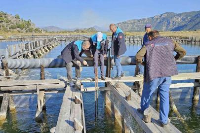 Köyceğiz Gölü, Dalyan ve İztuzu’nda denetim