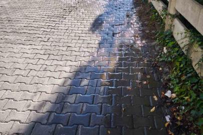 Mahallede tonlarca su boşa aktı