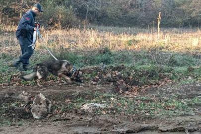 Mantar toplamak için gittiği ormanlık alanda kaybolan adamı 96 kişilik ekip arıyor