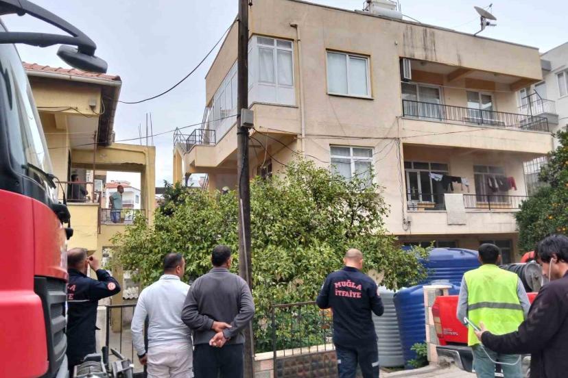 Ocakta unutulan yemekten çıkan yangında 2 kedi telef oldu