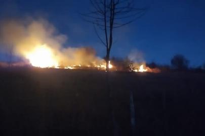 Ordu’da fındık bahçesinde yangın