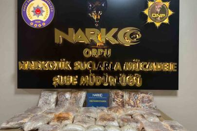 Ordu’da uyuşturucu operasyonlarında 2 tutuklama