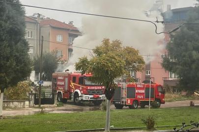 Park halindeki minibüs alevlere teslim oldu