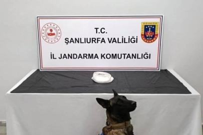 Şanlıurfa’da uyuşturucu operasyonu: 2 gözaltı