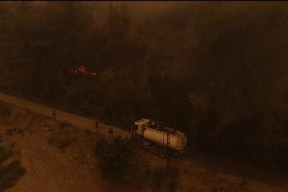 Suriye'nin Lazkiye bölgesindeki yangın söndürüldü