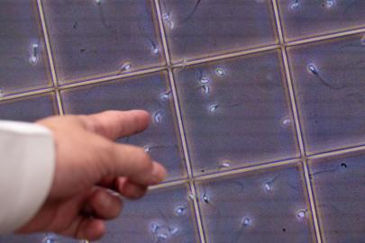 17 yıl sperm bağışladı, doğan bebeklerin 10'u kanser, bazıları öldü