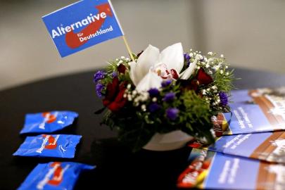 AfD’den New York’ta ABD ve Alman milliyetçilerine ittifak çağrısı