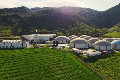 ARF Bio halka arz oluyor