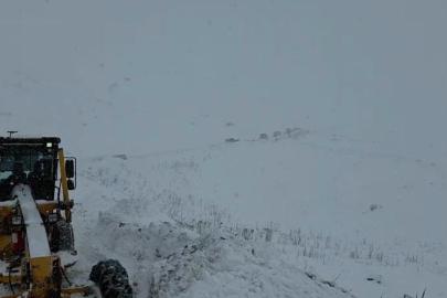 Artvin Valisi Turan Ergün: "3 çobanın çığ altında kaldığı yönünde bir bilgi geldi"