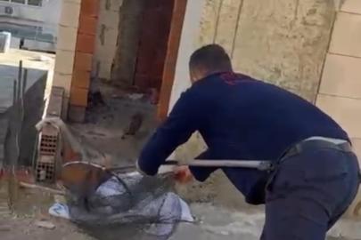 Asansör boşluğunda mahsur kalan kedi için itfaiye seferber oldu