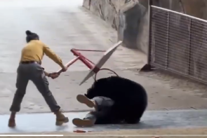 Ayı bakıcısıyla güreşti, basket potası bile ayıramadı