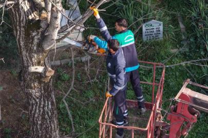 Başiskele’de budanan ağaç dalları ihtiyaç sahiplerine yakacak oluyor