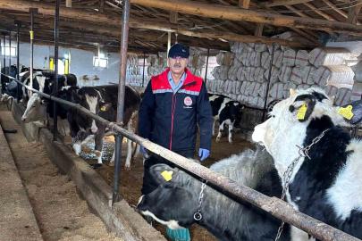 Beyşehir’de hayvancılık faaliyetleri yakın takipte