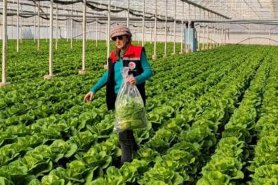 Buharkent’te sağlıklı gıda için pestisit denetimi