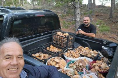 Çameli’de cintar bereketi