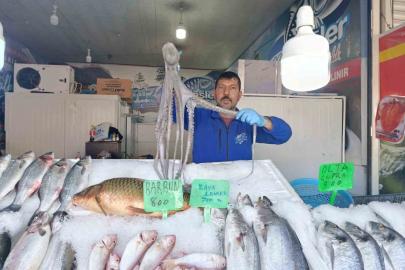 Denize kıyısı olmayan Kahramanmaraş’ta balığa yoğun ilgi