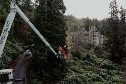 Dünyanın en büyük yılbaşı ağacı süslendi