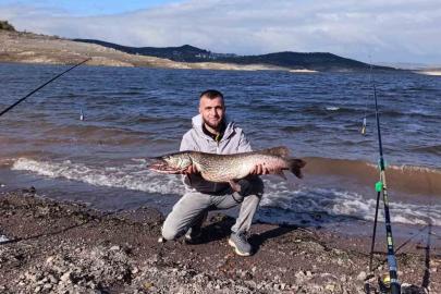 (Düzeltme) Sındırgı’da dev turna balığı yakalandı