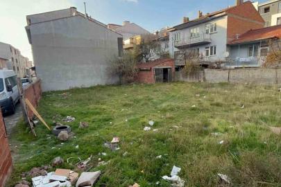 Eskişehir’de boş arsada 8 ölü kedi bulundu