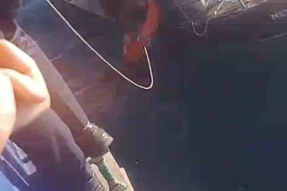 Feribottan atlayan kişiyi Gestaş personelleri ve balıkçılar kurtardı