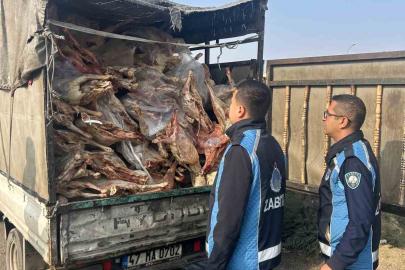 Gaziantep’te kamyonet kasasında kilolarca bozuk et ele geçirildi