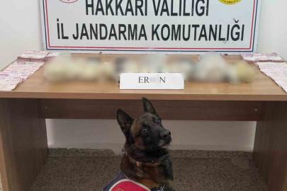 Hakkari’de 5 kilo 815 gram eroin ele geçirildi