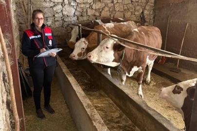 Hibe desteğiyle hayvancılık yapan besicilere yönelik denetim