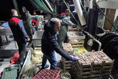 İğneada Balıkçı Barınağı’nda su ürünleri denetimi