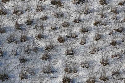 Karadeniz’deki kar yağışı, fındık ve diğer tarım ürünlerine yaradı