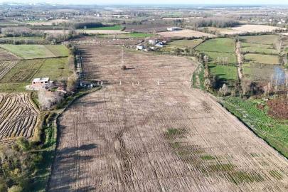 Karadeniz’in en büyük incir projesi: 50 milyon TL gelir kız çocuklarına verilecek